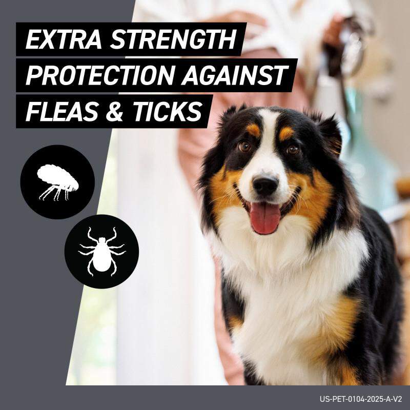 Frontline Shield for Dogs