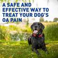 Deramaxx Chewable Tablets for Dogs