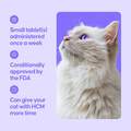 Felycin-CA1 (sirolimus delayed-release tablets) for Cats, 12 Tablets