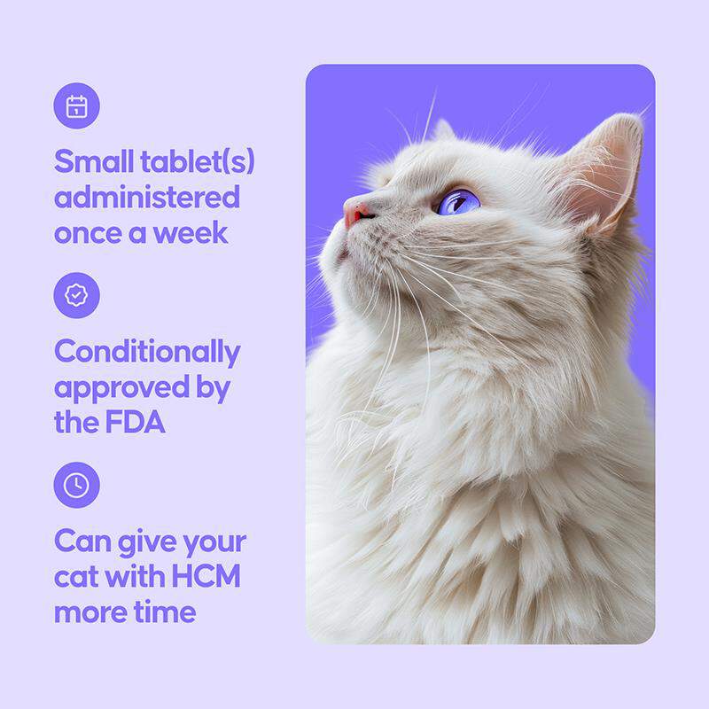 Felycin-CA1 (sirolimus delayed-release tablets) for Cats, 12 Tablets