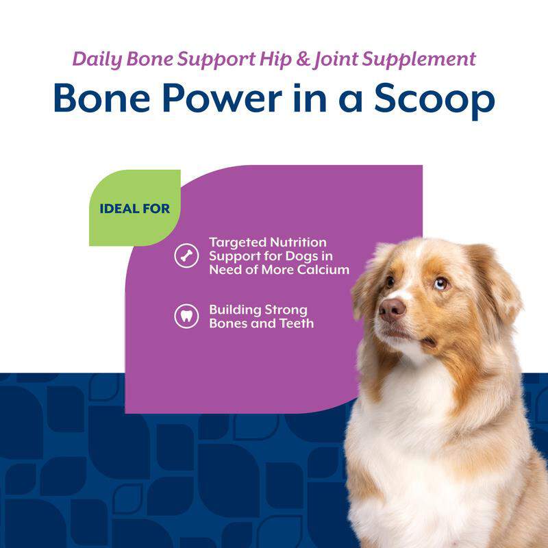 NaturVet Daily Bone Support Hip & Joint Supplement for Dogs