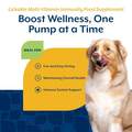 NaturVet Lickable Multi-Vitamin Immunity Food Supplement for Dogs, Peanut Butter Flavor, 6.4 fl oz