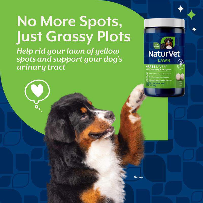 NaturVet GrassSaver, 300 Chewable Wafers