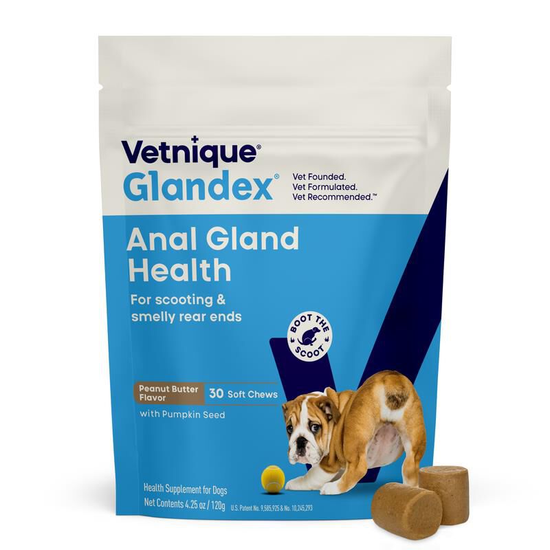 Glandex Anal Gland Support Peanut Butter Chews for Dogs