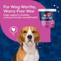NaturVet Cranberry Relief Healthy Urinary Tract Plus Echinacea Soft Chews for Dogs