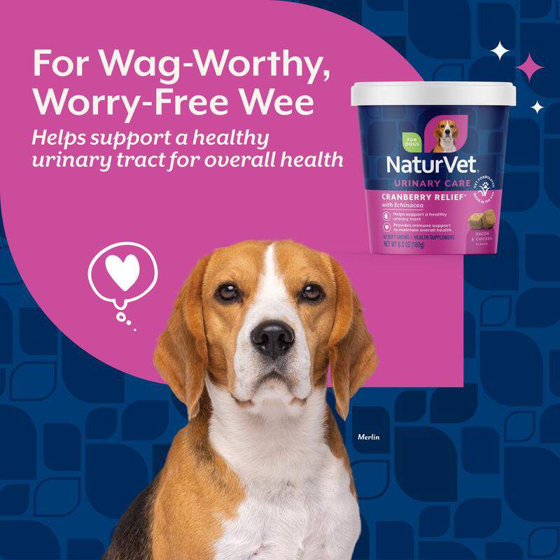 NaturVet Cranberry Relief Healthy Urinary Tract Plus Echinacea Soft Chews for Dogs