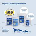 Dechra Pharmaceuticals Phycox Max for Dogs with Joint Issues, 90 Soft Chews