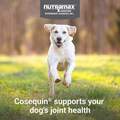 Cosequin Max Strength Joint Supplement for Dogs w/MSM plus Omega-3's