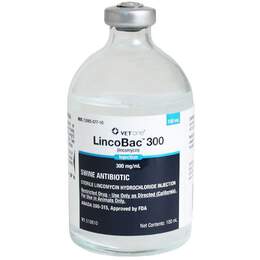 VetOne LincoBac 300 (Lincomycin) Injection for Swine, 100 ml