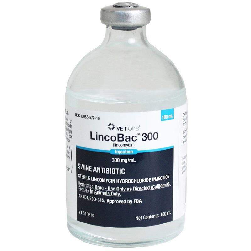 VetOne LincoBac 300 (Lincomycin) Injection for Swine, 100 ml