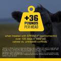 Eprinex Pour-On