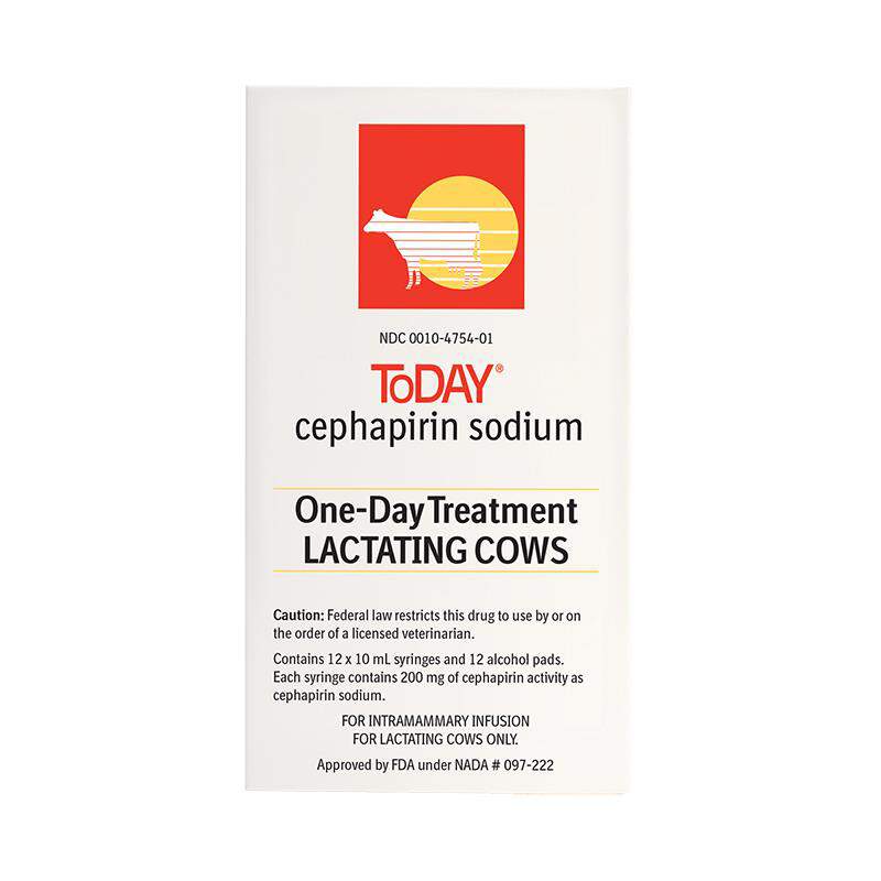 ToDAY Mastitis Treatment for Lactating Cows