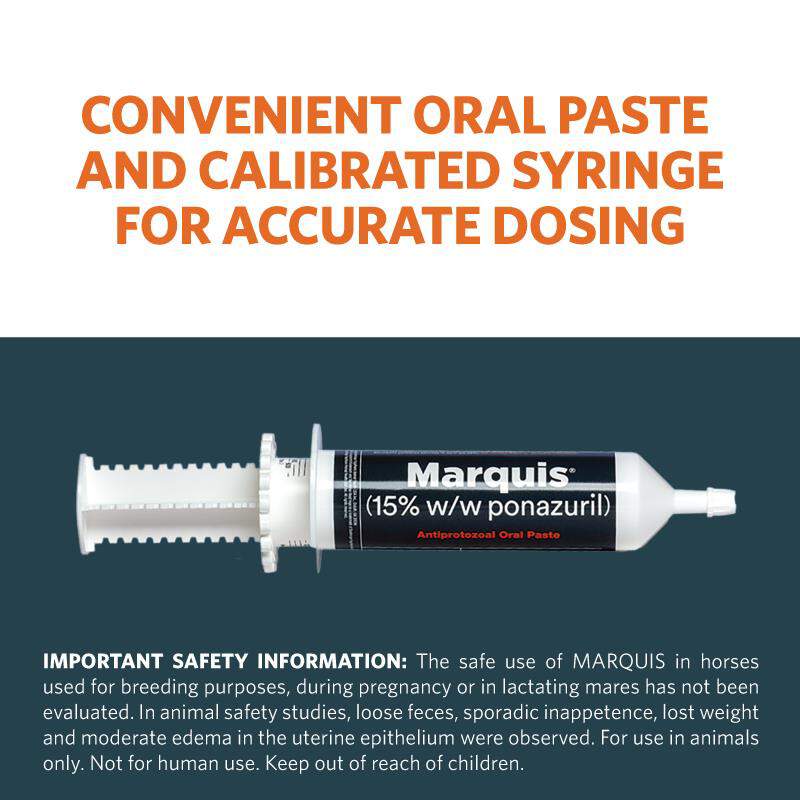 Marquis (15% w/w ponazuril) Antiprotozoal Oral Paste for Horses, 127 gm