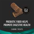 Purina Pro Plan Veterinary Diets Digestive Health Bites Dog Treat Chews, 16 oz