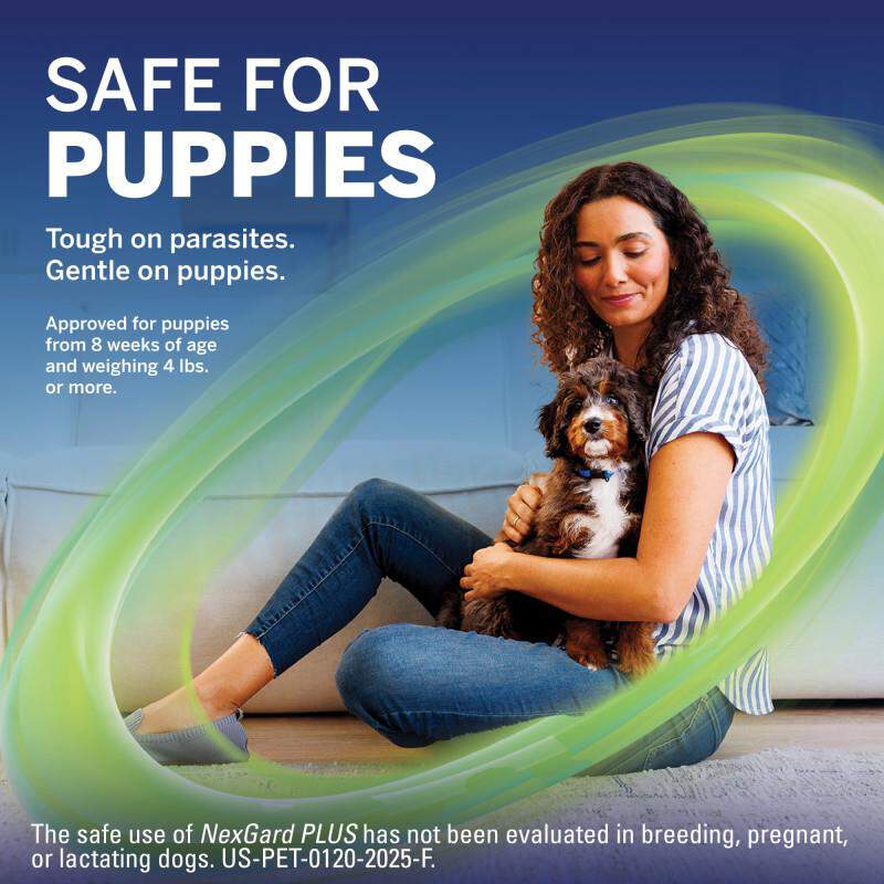 NexGard PLUS Chewables for Dogs