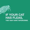 Elanco Tapeworm Dewormer (Praziquantel) for Cats, 3 Tablets