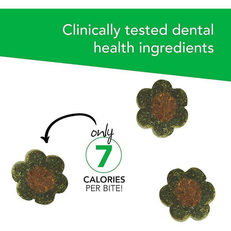 VetriScience Healthy Mouth Bites Perio Plus Feline Bites, 60 ct