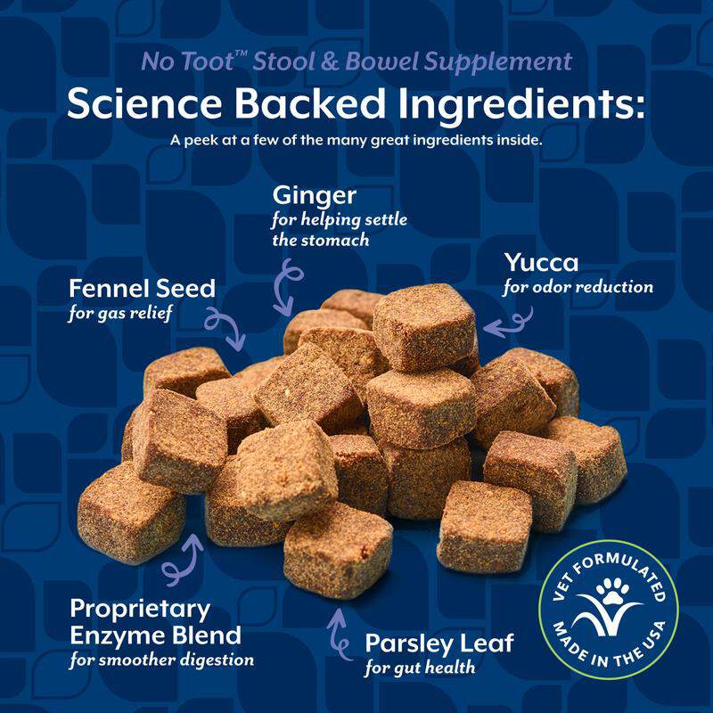 NaturVet No Toot Gas Aid Plus Fennel for Dogs, 70 Soft Chews