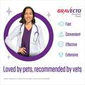 Bravecto Chews for Dogs