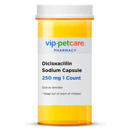 Dicloxacillin Sodium Capsule