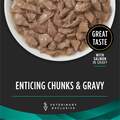 Purina Pro Plan Veterinary Diets EN Gastroenteric Savory Selects with Salmon in Sauce Wet Cat Food, 24 x 5.5 oz cans