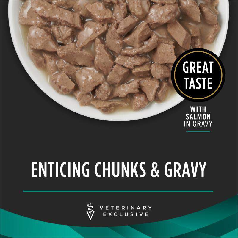Purina Pro Plan Veterinary Diets EN Gastroenteric Savory Selects with Salmon in Sauce Wet Cat Food, 24 x 5.5 oz cans