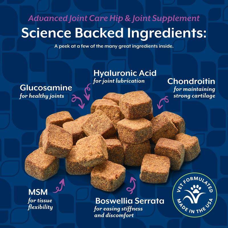 NaturVet Advanced Joint Care Hip & Joint Supplement for Dogs and Cats, 70 Soft Chews