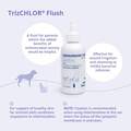 TrizCHLOR Flush 4 oz