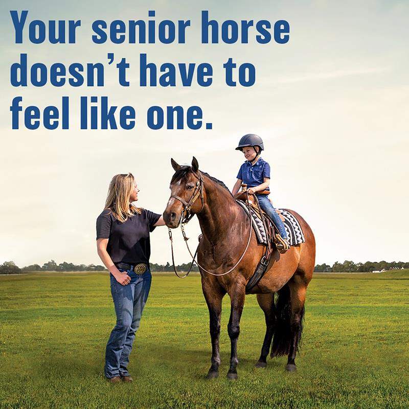 Absorbine Bute-Less Comfort & Recovery Supplement Pellets
