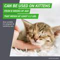 Frontline Plus for Cats and Kittens