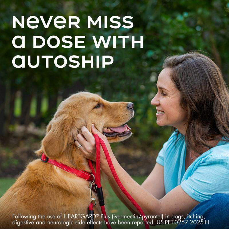 Heartgard Plus Chewables for Dogs