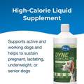 PetAg Dyne High Calorie Liquid Nutritional Supplement for Dogs & Puppies