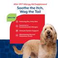NaturVet Aller-911 Allergy Aid Plus Antioxidants Soft Chews for Dogs and Cats, 180 ct