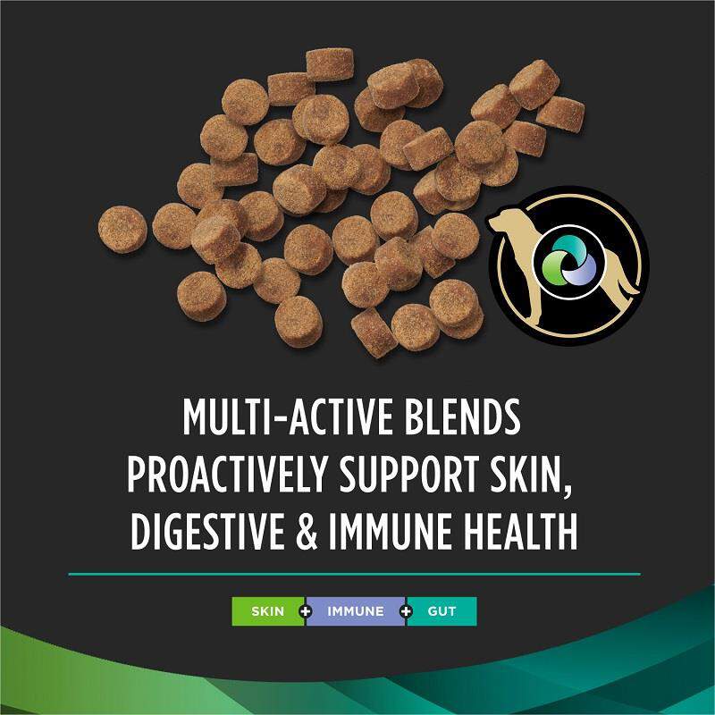 Purina Pro Plan Veterinary Supplements Multi Care Skin + Immune + Gut Dog Supplement