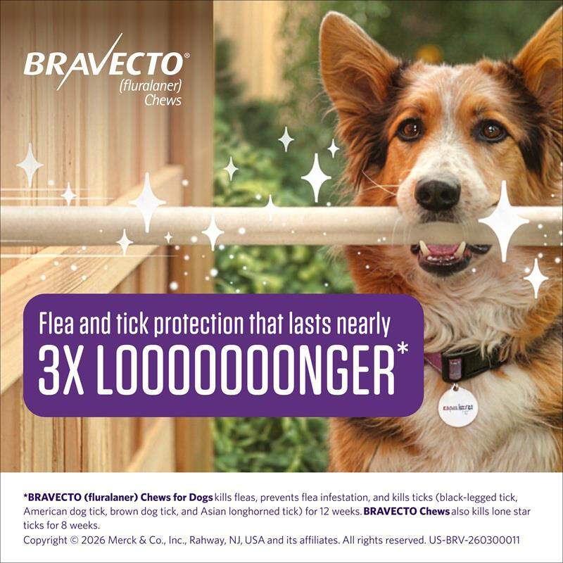 Bravecto Chews for Dogs