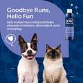 NaturVet Anti-Diarrhea for Dogs and Cats, 8 oz