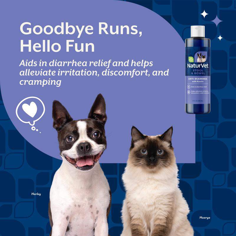 NaturVet Anti-Diarrhea for Dogs and Cats, 8 oz