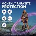 NexGard PLUS Chewables for Dogs
