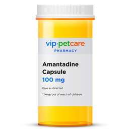 Amantadine 100 mg Capsule