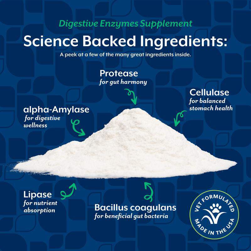 NaturVet Digestive Enzymes Powder
