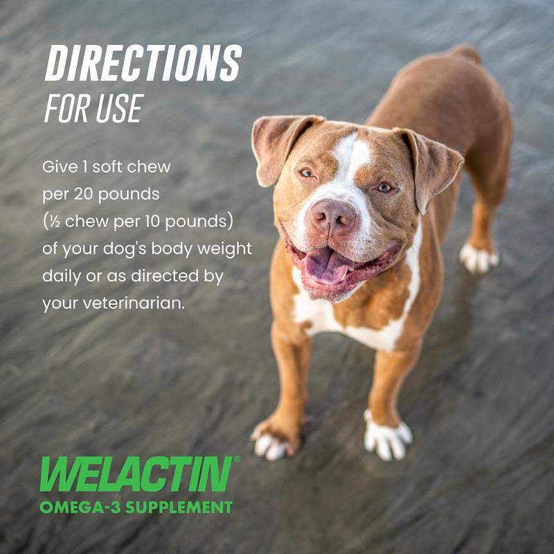 Welactin Omega-3 Skin & Coat Health plus Overall Wellness Supplement for Dogs, 60 Soft Chews