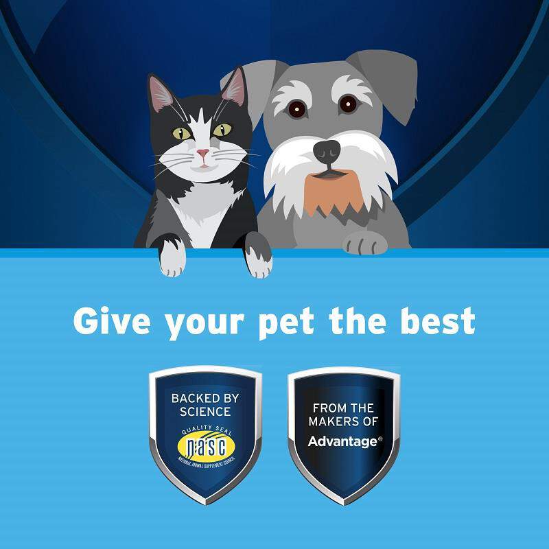 Pet Protect Omega-3 Free Form Snip Tips for Dogs and Cats