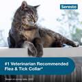 Seresto Flea and Tick Prevention Collar for Cats, 8 month flea and tick prevention