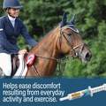 Absorbine Bute-Less Paste 3 Dose Syringe, 1 oz
