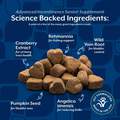 NaturVet Senior Advanced Incontinence Soft Chews Supplement for Dogs 60 Ct.