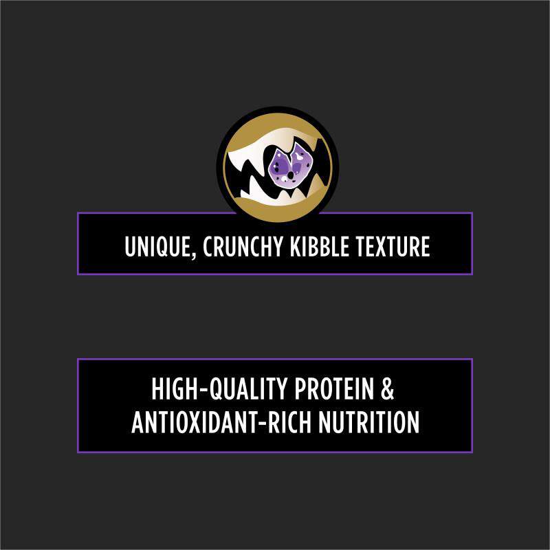 Purina Pro Plan Veterinary Diets DH Dental Health Formula Adult Dog Food
