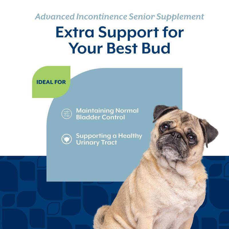 NaturVet Senior Advanced Incontinence Soft Chews Supplement for Dogs 60 Ct.