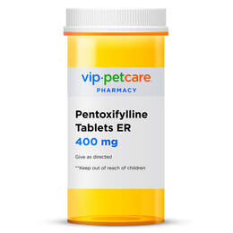 Pentoxifylline 400 mg ER Tablet