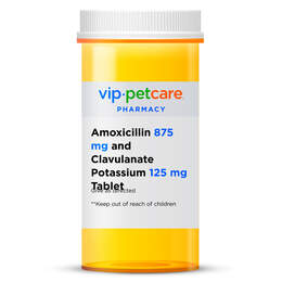 Amoxicillin Tablet, 500 mg