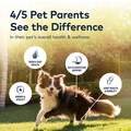 ZIWI Peak Lamb Air-Dried Dog Food